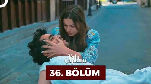 Зимородок 1 сезон 36 серия
