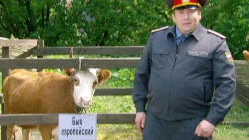 Воронины 4 сезон 19 серия