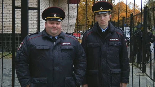 6 сезон