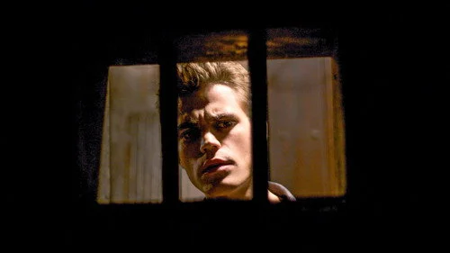 Дневники вампира 1 сезон 5 серия