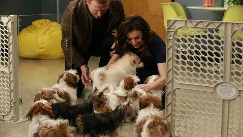Анатомия страсти 12 сезон 14 серия — кадр